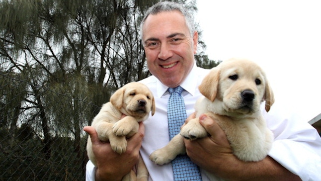 MELBOURNE, AUSTRALIA - SEPTEMBER 06: Shadow Treasurer Joe Hockey holds a puppy at Kew Guide Dogs on September 6, 2013 in Melbourne, Australia. With just one day left in the campaign the Liberal-National Party coalition had one of their first stumbles, by releasing a policy to implement an opt-out internet filter, but then abandoning it within hours. The conservative Liberal-National Party coalition looks set to form government in tomorrow's Federal Election. (Photo by Lisa Maree Williams/Getty Images)