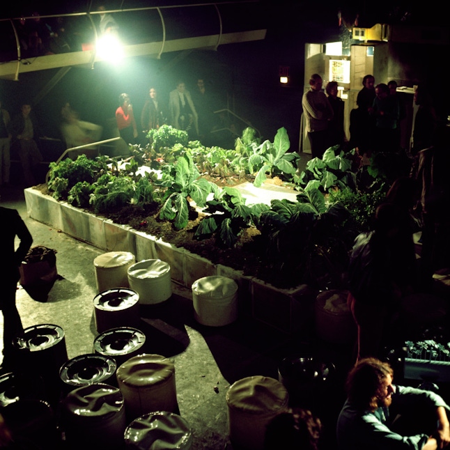 Gruppo 9999, prototype for the Vegetable Garden House at the Mondial Festival, Space Electronic, Florence (1971)